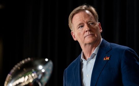 NFL advises teams to enhance security after deadly midtown office shooting: report