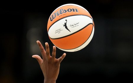 WNBA suggests it's pursuing criminal charges against fans who throw adult toys onto court during games
