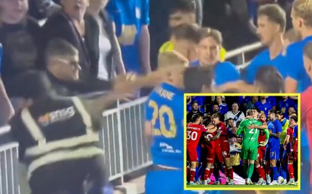 Championship opener descends into chaos as fan tries to punch player in shocking scenes