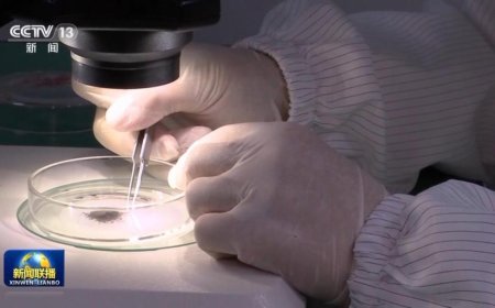 125.42 克：我国已陆续发放 9 批月球科研样品，相关成果超 150 个