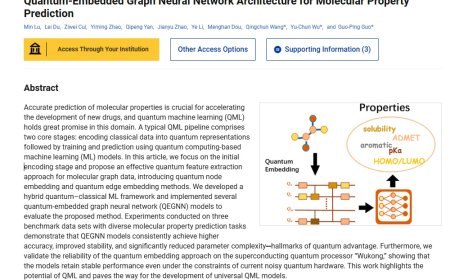 填补研究空白、“本源悟空”验证可靠性：我国本源量子科研团队全球首创量子边编码技术