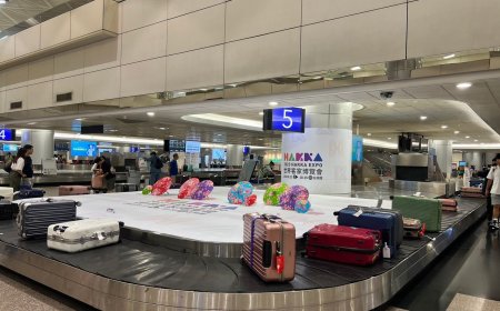 出入境提領行李時間長　桃機今年評估「行李追蹤資訊共享」