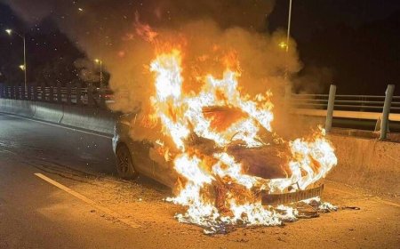 引擎故障停路邊「瞬間起火」恐怖火球畫面曝　駕駛跳車逃生