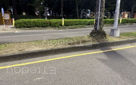 獨／高雄凌晨死亡車禍　騎士詭異自摔不治