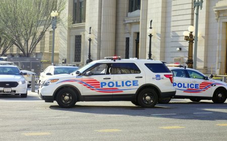 Trump admin cutting $20M in DC security funding after federal law enforcement ordered to increase presence