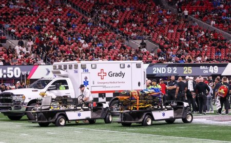 Lions' Morice Norris leaves preseason game in ambulance after blow to the head
