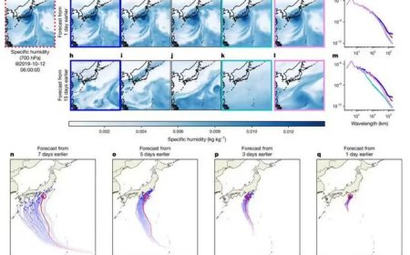 AI预报天气很行，但是也没那么行