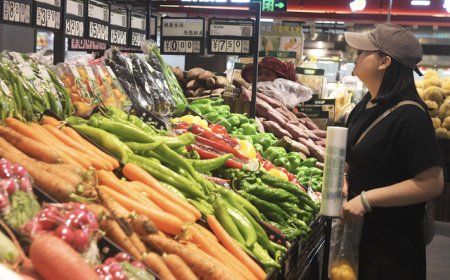 受食品价格较低影响，7月CPI同比持平