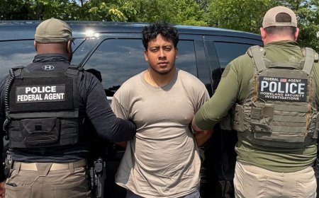 ICE arrests illegal immigrant charged with child sex crimes after his release by local police despite detainer
