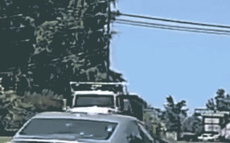 Meteorite fragment that slammed through homeowner's roof is billions of years old, predates Earth: professor