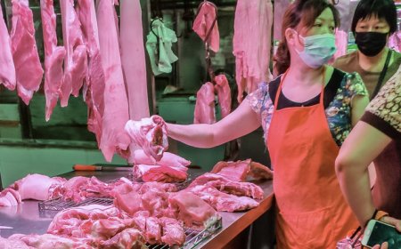 生猪产能偏高，农业农村部：引导调减百万头能繁母猪