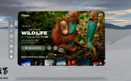 《野生世界》第四集《猩猩》登陆苹果 Vision Pro，用户可免费观看