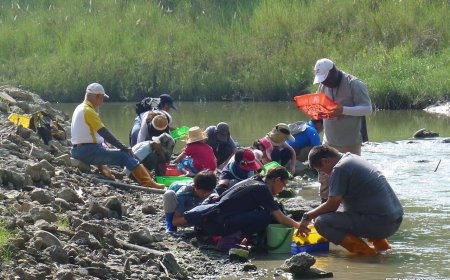 豪雨重塑菜寮溪地貌　台南左鎮化石園區籲化石迷勿單獨行動
