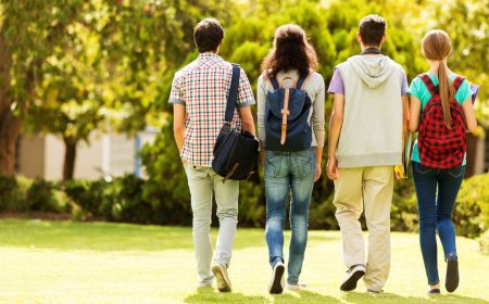 Trump visa policies force colleges to scramble as international students vanish: report