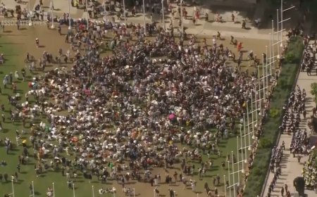 Hundreds of anti-Israel protestors arrested in London for supporting group banned under terrorism law