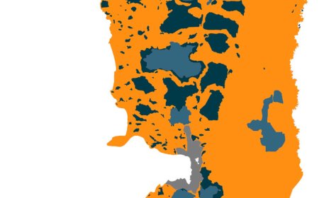 巴勒斯坦，会亡国吗？