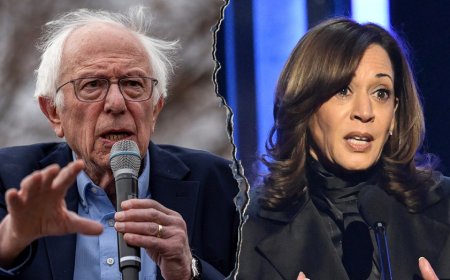 Bernie Sanders calls out Kamala Harris' campaign for being 'heavily influenced by wealthy people'