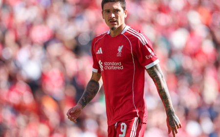 Darwin Nunez makes instant impact with debut goal for his new club