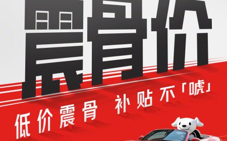 “震虎价”不让用，京东养车 50 亿补贴全网征名后改为“震骨价”
