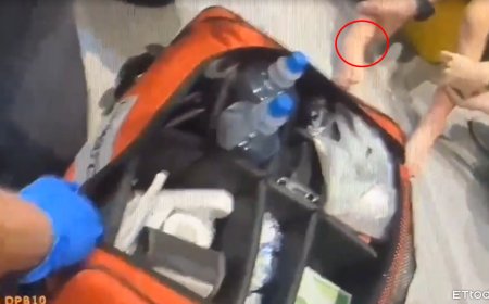 社區遊戲室有毒蛇出沒！基隆5歲童遭龜殼花攻擊　雙腿咬出洞嚎哭