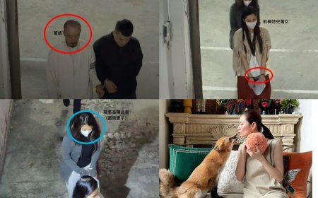 快訊／假公益吸金上億！通緝兄攜名模妹養狐狸、買豪宅被起訴