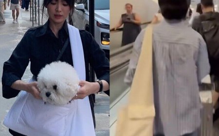 宋慧喬登機包詢問度暴增！簡約三角大包時髦又能裝　同場加映平價類似款