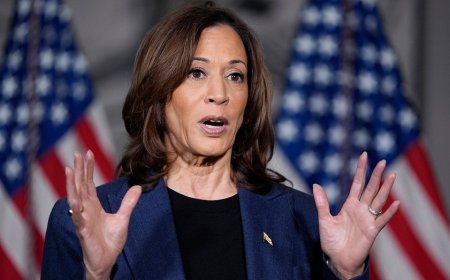 Kamala Harris' major California announcement triggers circular Dem firing squad