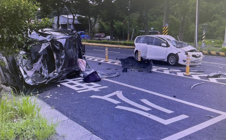 越籍學生違規肇逃！計程車飛滾對向撞3車　「削頂」1死5傷判決曝
