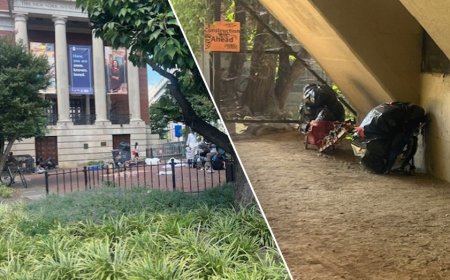 Inside the Washington, DC homeless hotspots Trump has vowed to clean up