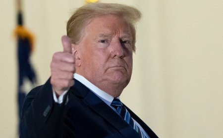 NY Times reporter admits Trump is ‘way more effective’ in second term