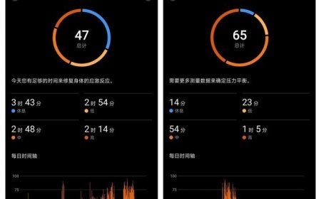 新研究表明智能手表压力数据与佩戴者真实感受几乎无关