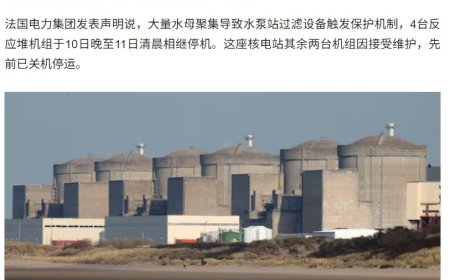 法国最大核电站因水母入侵导致暂停运营