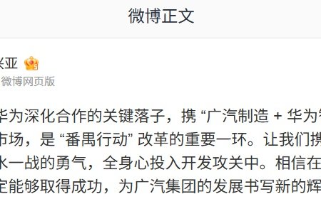 冯兴亚称华望是广汽与华为深化合作的关键落子，将冲击高端智能新能源车市场