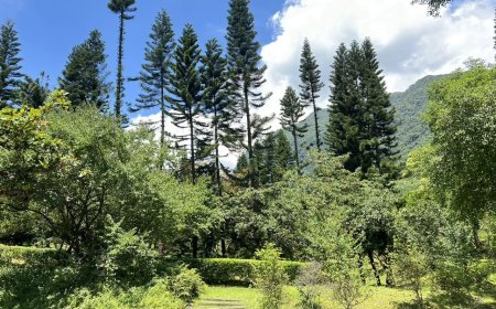 保育署花蓮分署轄內育樂場　17時起預警封閉、休園