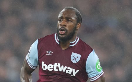 Michail Antonio lands new job days after West Ham release confirmed