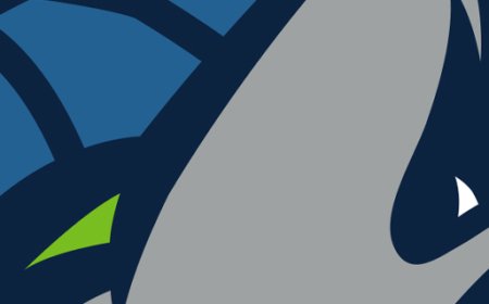 Mahmoud Abdelfattah Hired By Wolves As G League Head Coach