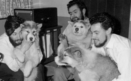 Body of Antarctic explorer found after 66 years after his disappearance