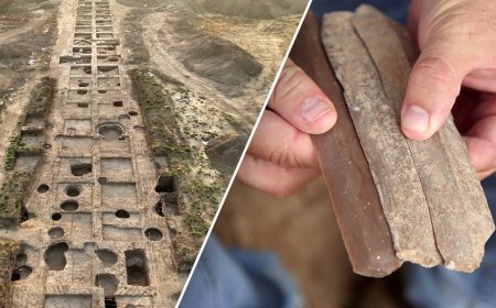 Archaeologists uncover ancient blade factory tied to major group in the Bible: 'Exceptional individuals'