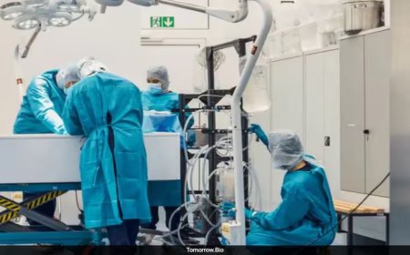 德国 Tomorrow Bio 公司推出 20 万美元遗体冷冻服务：为日后“复活”做准备