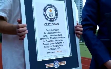16.33 秒完成百米冲刺！浙大四足机器人“白犀”破吉尼斯世界纪录