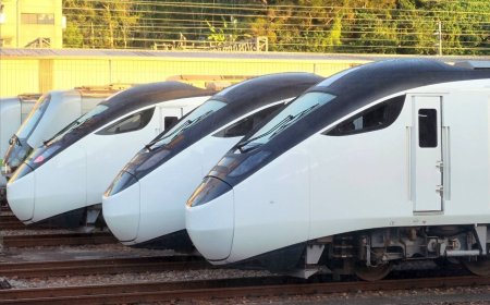 台鐵明中午前「花東線、南迴線」全面停駛　觀光列車停開