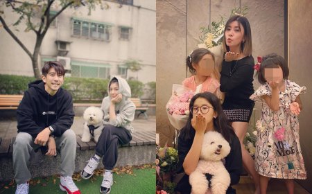 愛犬在梧桐妹生日前一天過世！　修杰楷曝全家心情：不敢看狗影片