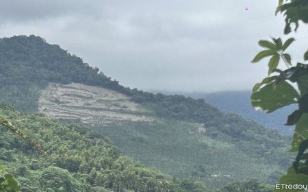 「申請除草+清理樹頭」竟把整座山弄禿　慘被勒令停工移送法辦