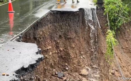 颱風前夕喊卡！桃源ㄧ家5口墜谷14天　消防局宣布停止搜救