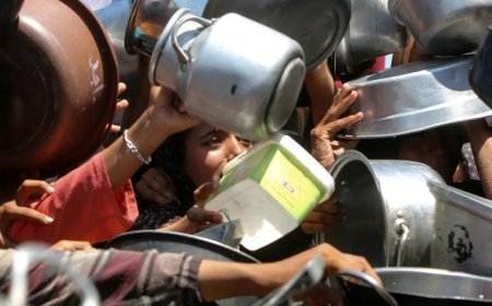 “我的学业，我的人生”：战争让加沙学生陷入饥饿与失学困境