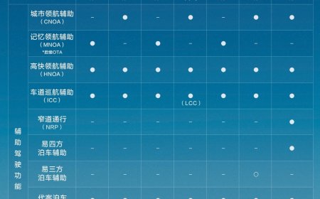 比亚迪：7 月销售辅助驾驶车型 228215 辆，国内占比 87%