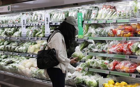 “金菜”危机再次爆发，韩国大白菜价格暴涨超四成