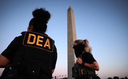 DEA head says phone calls are coming from 'all over the country’ from fed agents wanting to help in DC