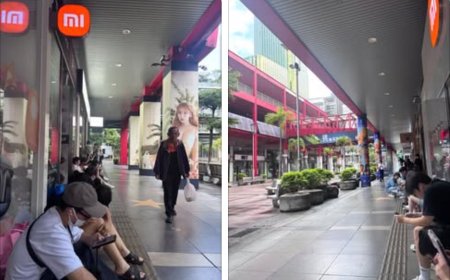 楊柳直撲「南北兩樣情」　信義威秀一早爆百人