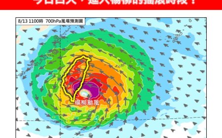 楊柳搖滾時段 ！　今「雨最大」地區曝